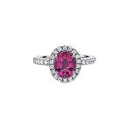 Charles Krypell Oval Rubellite Halo Ring