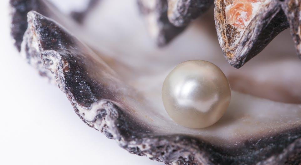 Pearl Nacre Quality and Thickness