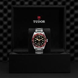 Tudor Black Bay #M79230R-0012