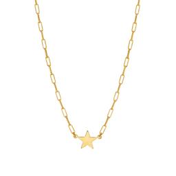 Paperclip Necklace with Star 0
