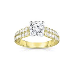 Yellow Gold Round Diamond & Double Pave Diamond Shank Engagement Ring 0